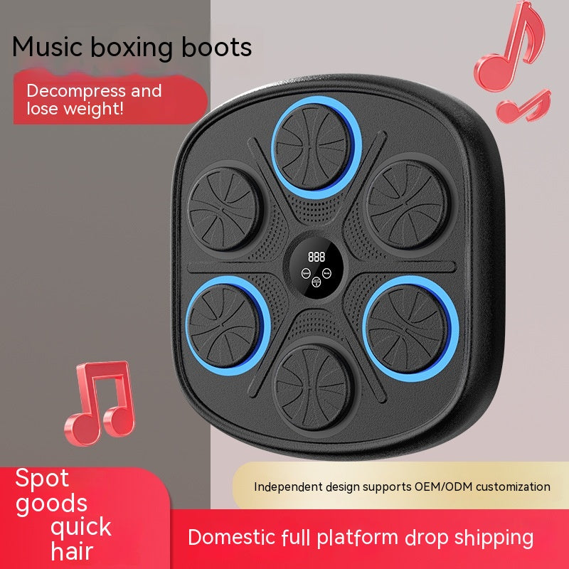 Music Boxing Target Training Wall Target Fitness Equipment